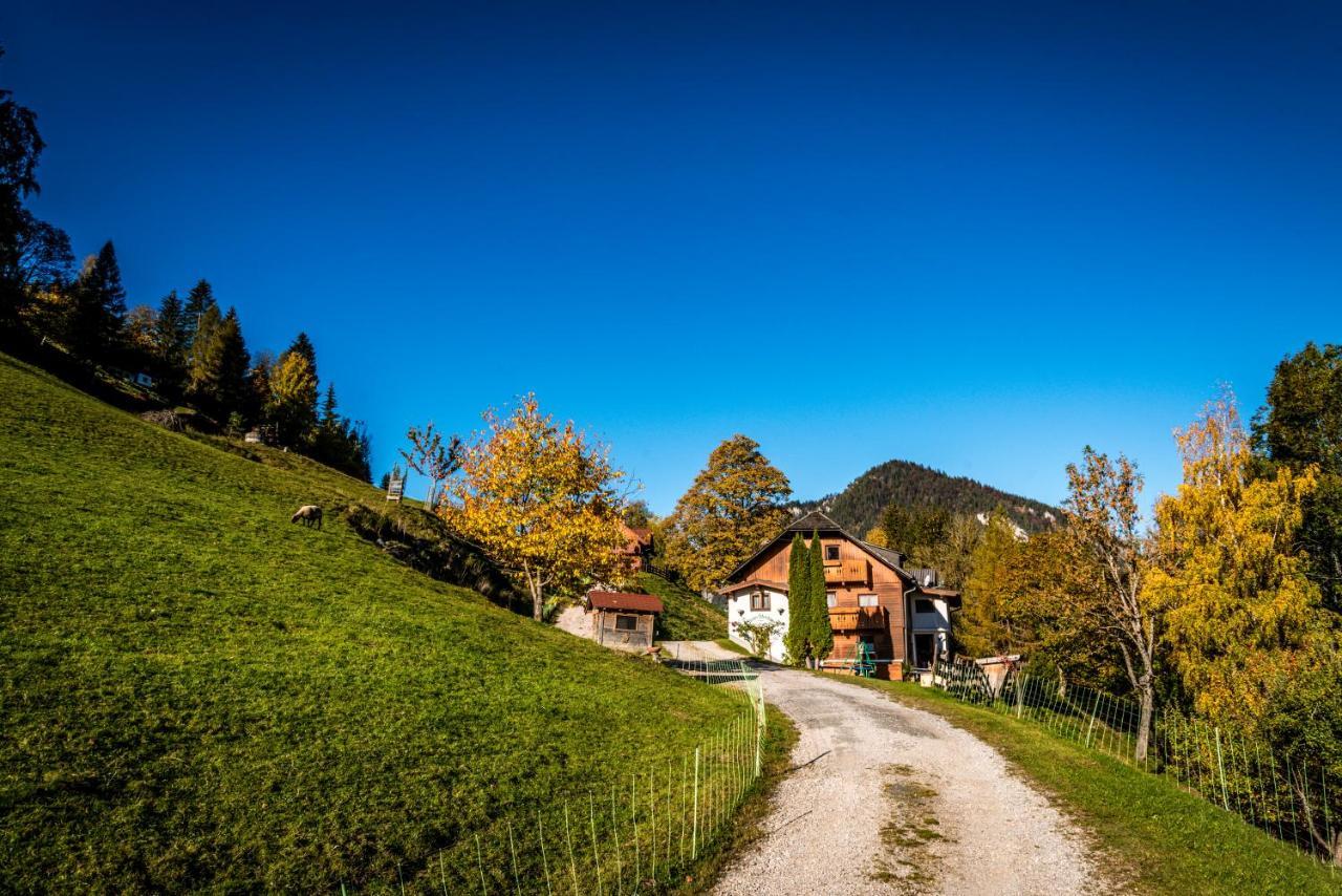 Stallhaeusl Schladming Bagian luar foto