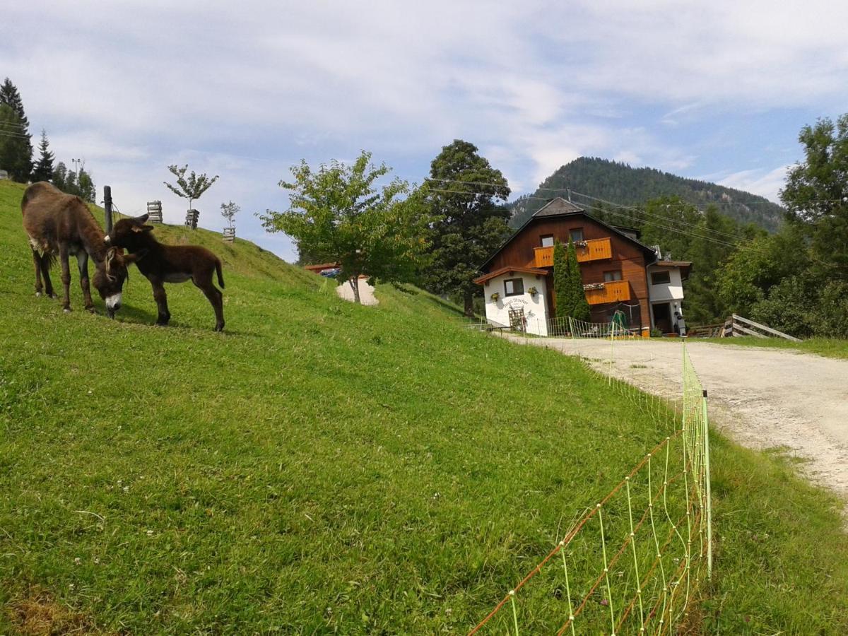 Stallhaeusl Schladming Bagian luar foto