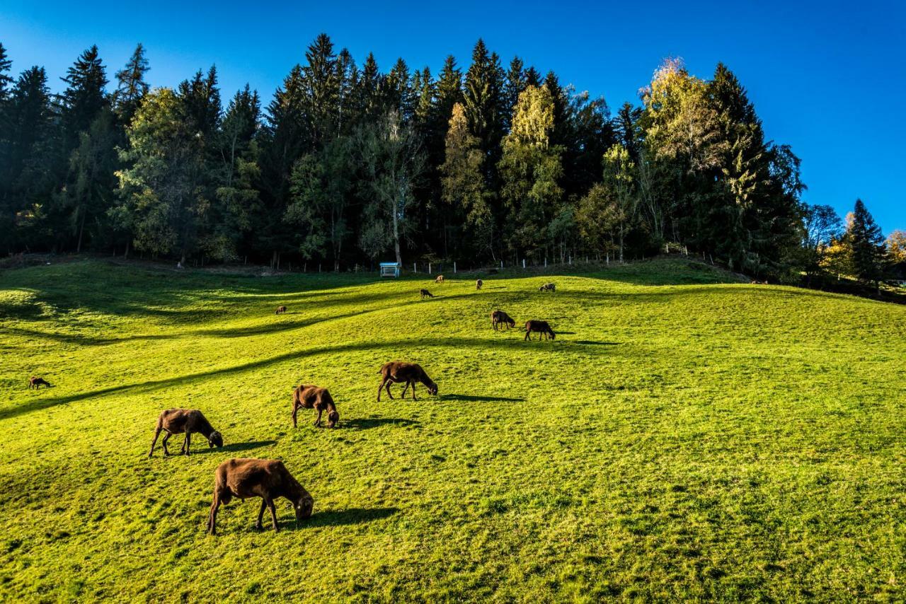 Stallhaeusl Schladming Bagian luar foto