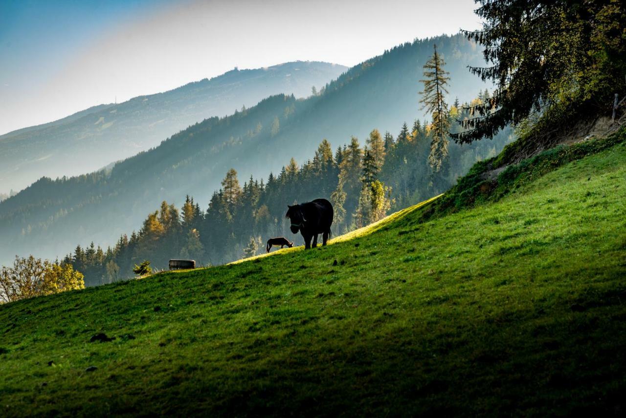 Stallhaeusl Schladming Bagian luar foto
